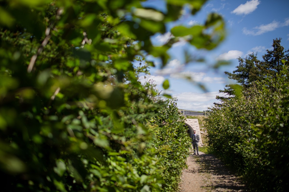 JA_Cunning&amp;Kennedy-10