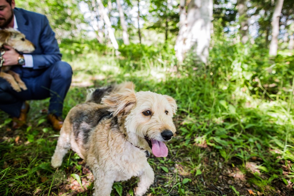 cunningkennedy_blog-60